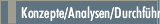 Konzepte/Analysen/Durchführung
