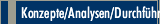 Konzepte/Analysen/Durchführung